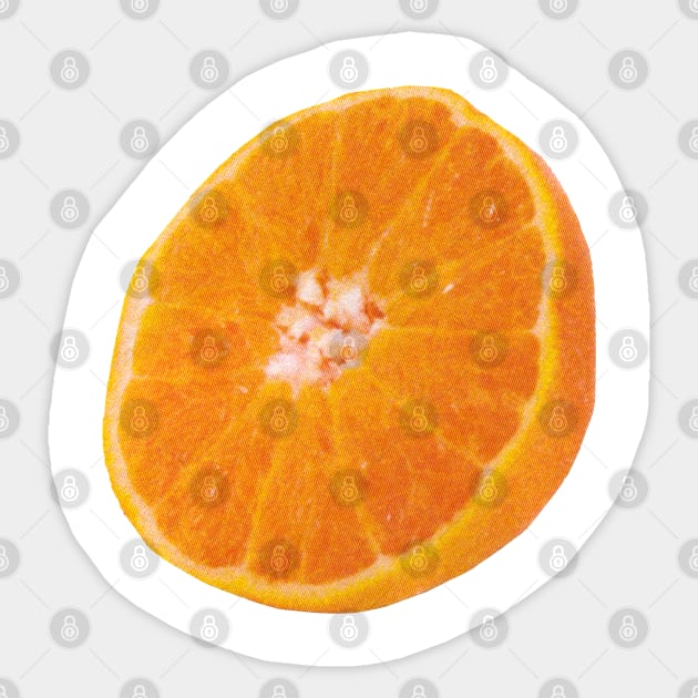 Orange Slice Sticker by Food Photography